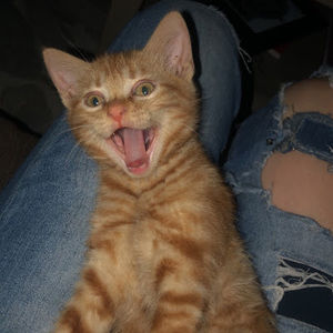 Meet your Posher, Erica